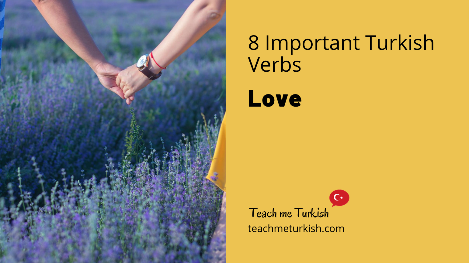 learn Turkish vocabulary
